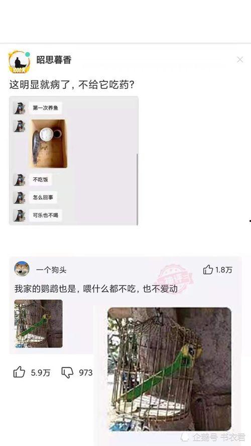 珠海网友林女士爆料新闻,惊曝某事件背后惊人内幕
